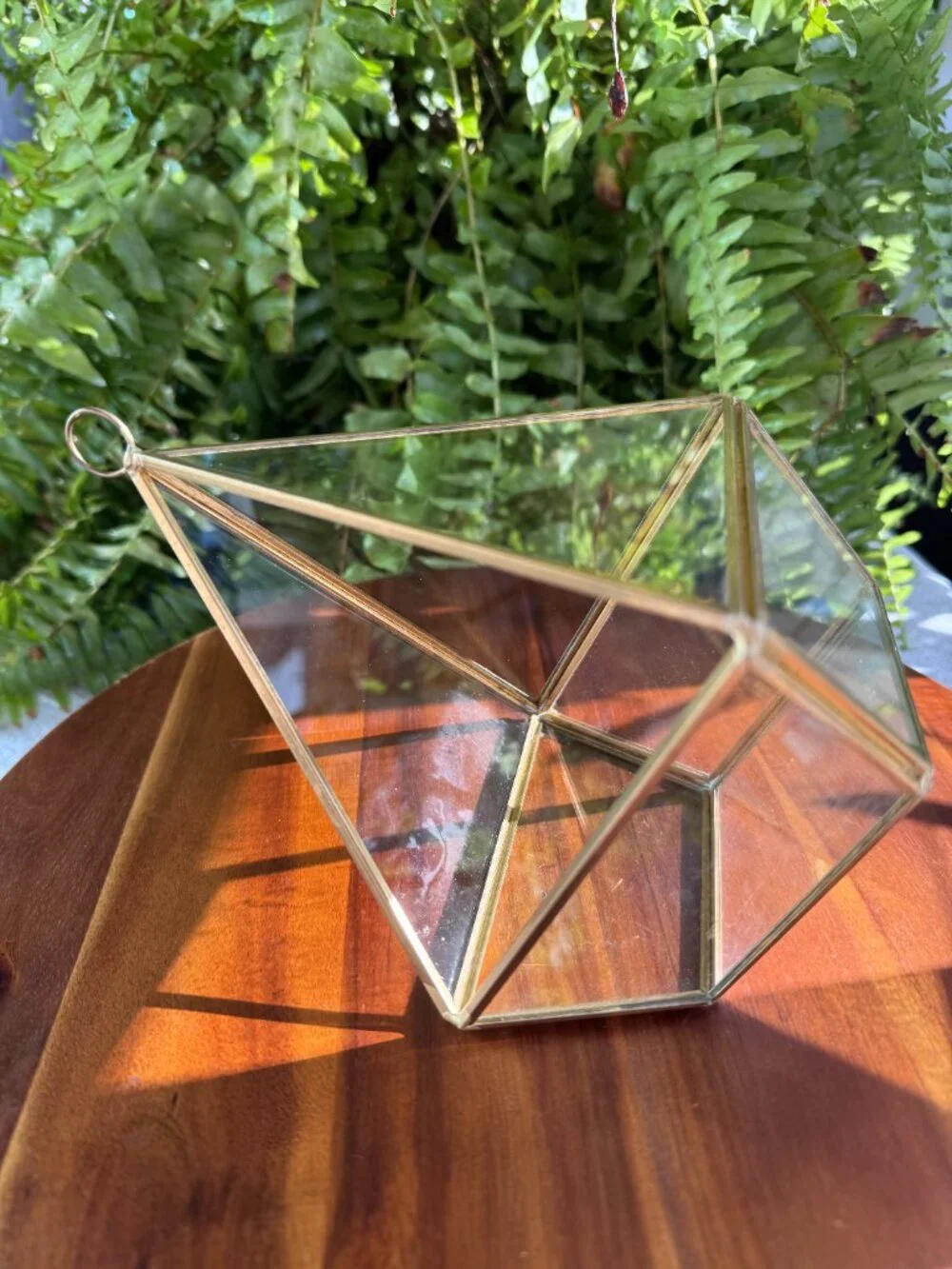 Geometric Glass Brass Planter, Tall Terrarium Container for Plants with Hook